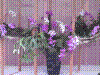 flowershow162.jpg