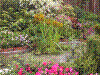 flowershow163.jpg