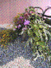 flowershow166.jpg
