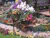 flowershow173.jpg