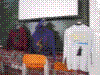 fiesta022.jpg