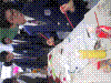 fiesta029.jpg