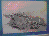 artvisit-2276.jpg