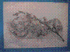 artvisit-2289.jpg