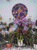 flowershow159.jpg