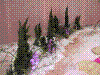 flowershow161.jpg
