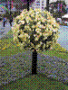 flowershow164.jpg