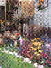 flowershow168.jpg