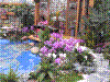 flowershow172.jpg