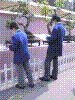flowershow174.jpg