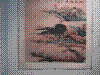 cupicture041.jpg