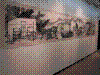 cupicture046.jpg
