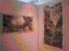 cupicture047.jpg