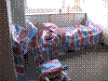 cupicture065.jpg