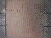 cupicture067.jpg