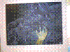 cupicture069.jpg