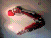 cupicture072.jpg