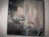 cupicture073.jpg