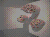 cupicture074.jpg