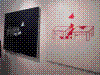 cupicture079.jpg