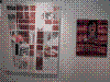 cupicture080.jpg