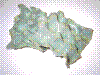 cupicture085.jpg