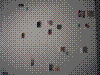 cupicture098.jpg