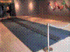 cupicture107.jpg