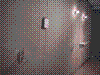 cupicture111.jpg