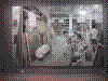 cupicture112.jpg