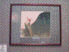 cupicture115.jpg