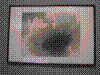 cupicture116.jpg