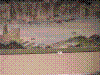 cupicture142.jpg