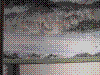 cupicture144.jpg