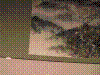 cupicture146.jpg