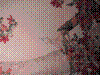 cupicture161.jpg
