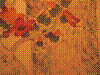 cupicture162.jpg