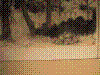 cupicture164.jpg