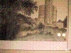 cupicture167.jpg