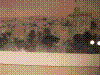 cupicture169.jpg