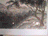 cupicture170.jpg