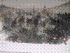 cupicture173.jpg