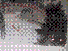 cupicture174.jpg