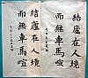IMG_6373.jpg