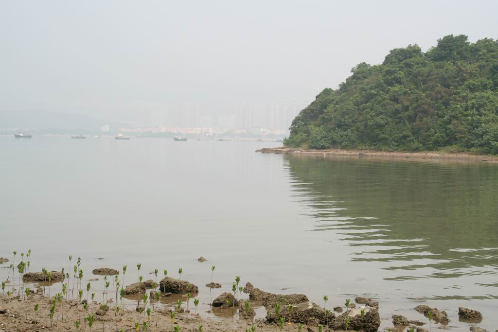20051016_PTA_011