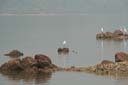 20051016_PTA_014