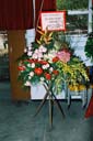 20051126_AGMcumInAug_43