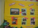 Fun_Fair_06_08