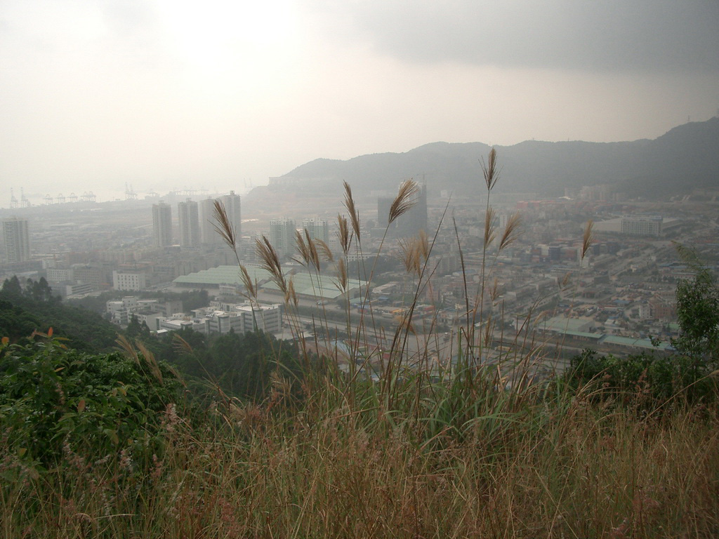 20061119_39