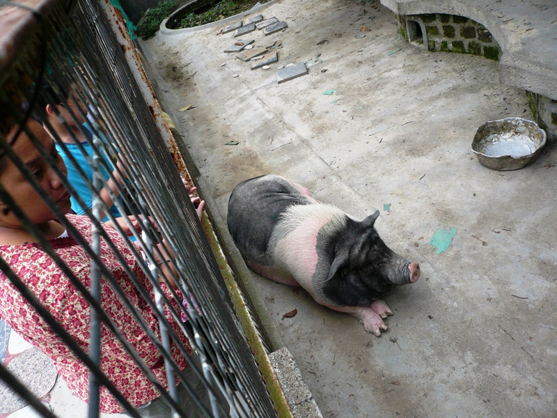 2008_Picnic_43